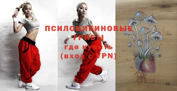 молекула духа Алзамай