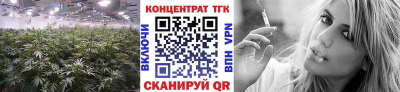 Дистиллят ТГК Wax  Гдов 