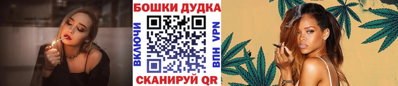 Конопля Amnesia  Гдов 